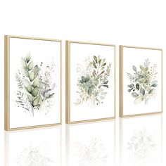 three framed paintings with plants on them