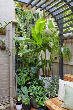 an outdoor patio with lots of potted plants