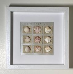 a white frame with seashells in it