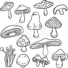 different types of mushrooms on a white background stock photo and royalty free images for your design