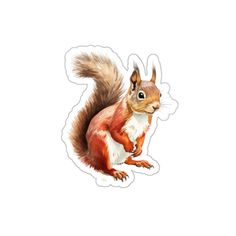 a red squirrel sticker on a white background