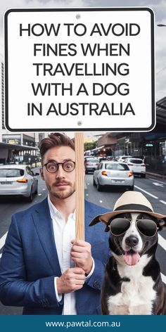 a man holding a baseball bat with a dog in front of him and the words how to avoid fines when traveling with a dog in australia