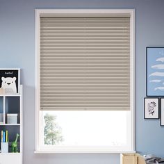 a bedroom with blue walls and a window covered in blinds