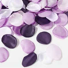 purple and white confetti petals on a white background