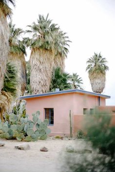 a pink house surrounded by palm trees and cacti