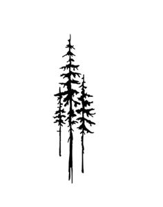 a black and white photo of trees on a white background with the words, pine tree