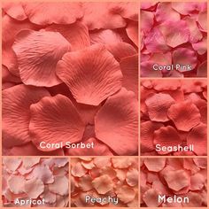 the different colors of petals are shown in this collage, including coral pink and peach