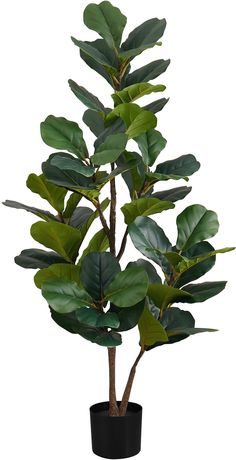 Faux 4' Fiddle Leaf Fig Tree with Black Planter Faux Fiddle Leaf Fig Tree, Fiddle Tree, Fiddle Leaf Tree, Fiddle Fig, Black Planters, Indoor Trees, Fiddle Leaf Fig Tree, American Signature Furniture, Value City Furniture