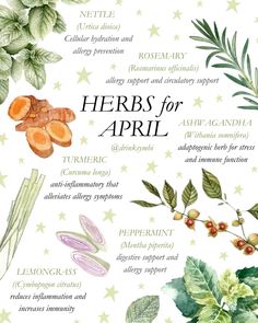 herbs for the month of apricot on a white background with green leaves and flowers