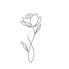 the outline of a single rose on a white background