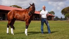 a man standing next to a brown horse on top of a lush green grass covered field