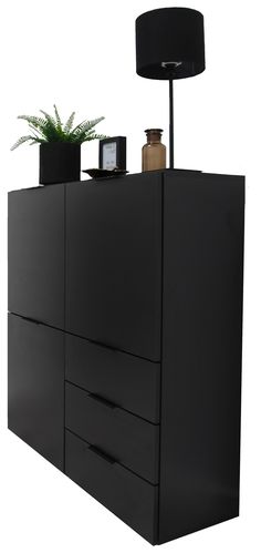 a black cabinet with two drawers and a plant on top