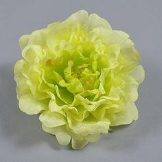 a single yellow flower on a gray background