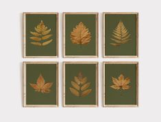 four framed pictures with leaves on them in green and gold colors, each showing different types of leaf shapes