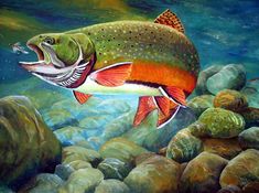 a painting of a rainbow colored fish jumping over rocks