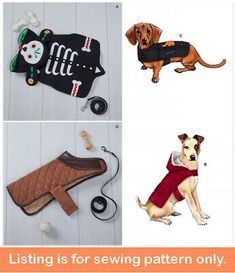 four pictures of dogs wearing clothes and accessories