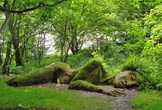 an image of a forest setting with trees and grass in the foreground, one person laying on the ground