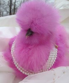 a pink stuffed bird with pearls on it's neck and head sitting on a white cloth