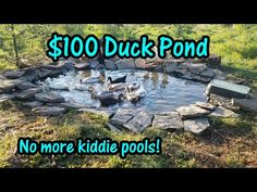 there is a pond with ducks in it and the words $ 100 duck pond no more kiddie pools