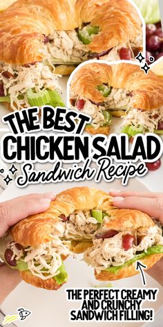 the chicken salad sandwich is cut in half and ready to be eaten