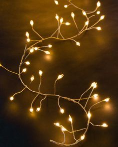 some lights that are on top of a black table and one is lit up with it's branches