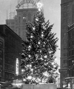 a large christmas tree in the middle of a city