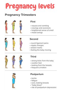 Pregnancy levels Pregnancy Mood Swings, Round Ligament Pain, Frequent Urination, Trimesters Of Pregnancy, Mood Swings, Writing Tips