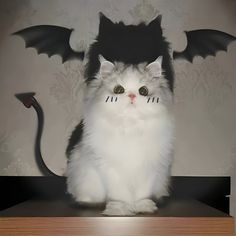 a white cat sitting on top of a wooden shelf next to a bat shaped object