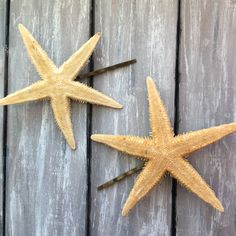 The perfect accessories for a destination beach wedding whether you are the bride, bridesmaid, flower girl or even just a guest. Also great for a day at the beach, strolling around town or any mermaid at heart!  You will receive two antique brass bobby pins adorned with real starfish. Starfish are approximately 3"-3.25".  Each bobby pin measures approximately 2 inches.  Because each hair pin is handmade & each starfish is unique, please note no two are alike. Thanks for visiting Social Butterfli Bridal Hair Beach Wedding, Hair Beach Wedding, Ariel Wedding, Beach Wedding Bridesmaids, Wedding Bridal Hair, Bridesmaid Flower, Beach Bridal, Beach Destination Wedding, Social Butterfly