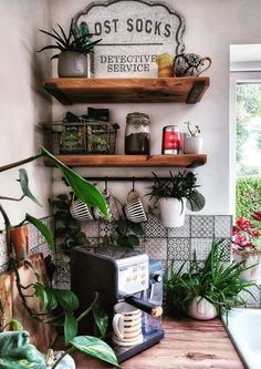 some plants are sitting on shelves above a coffee maker