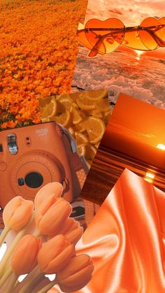 an orange photo collage with flowers, sunglasses and a camera in the foreground