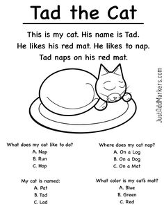 a cat is sleeping on top of a pillow with the words tadd the cat