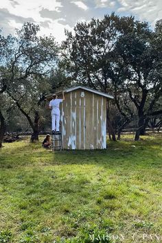 a man standing on top of a ladder next to a wooden shed in the grass