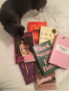 a cat is standing on the bed with many books in front of it and looking down