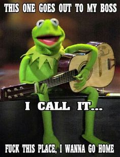 kermie the frog playing guitar with caption that reads, this one goes out to my boss i call it f k