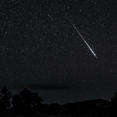 an airplane flying through the night sky with stars in the foreground and trees on the far side