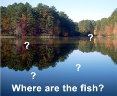 a lake with trees in the background and two question marks on it that say, where are the fish?