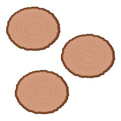 three slices of wood are shown on a white background