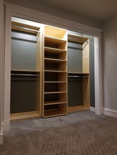 an empty walk in closet next to a window with no curtains on the door and carpeted floor