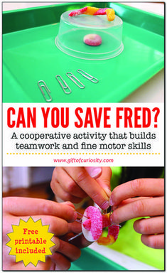 Can You Save Fred? Kids will love this cooperative activity that builds teamwork, planning, communication, and fine motor skills. #freeprintable || Gift of Curiosity 20 Minute Stem Activities, Smart Moves Activities For Kids, Gym Activities For Middle Schoolers, Stem Problem Solving Activities, Stem Teamwork Activities, What Do You Do With A Problem Activities, Busy Activities For Elementary, Fun Summer Stem Activities, High Yield Activities