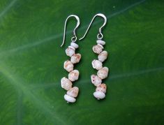 Aloha! Here is a pair of Hawaiian Momi Shell Earrings, adorned with micro Pukas, and completed with Sterling Silver Earring Hooks.  Collected and crafted on the beautiful North Shore of Kauai. 30mm long. Handmade White Dangle Cluster Earrings, White Sterling Silver Cluster Earrings For Pierced Ears, White Pierced Cluster Earrings As Gift, Puka Shell, Kauai Hawaii, Shell Earrings, Earring Hooks, Shell Necklaces, Silver Earring