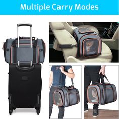 multiple carry modes for cats and dogs