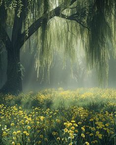 the sun is shining through the trees and flowers in the field with yellow dandelions