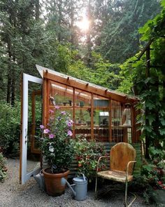 a garden shed in the middle of a forest with potted plants and a chair