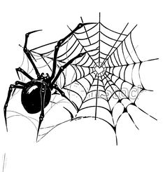 a black and white image of a spider on its web