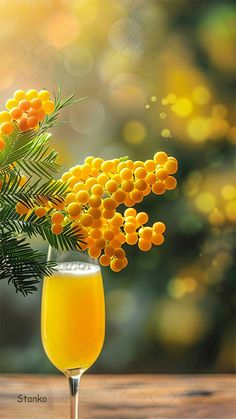 a glass filled with orange juice next to a pine tree