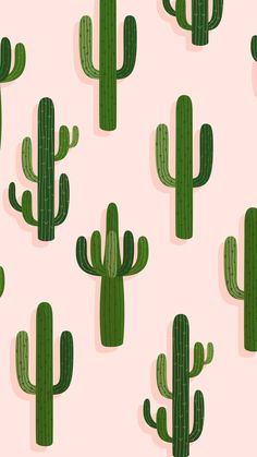 many green cactuses on a pink background