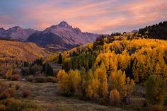 the mountains are full of trees with yellow leaves on them and some clouds in the sky