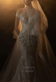 a woman in a wedding dress with a veil on her head and the light behind her