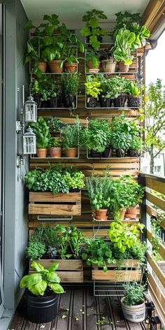 an outdoor balcony garden with lots of plants on the wall and potted plants in wooden boxes